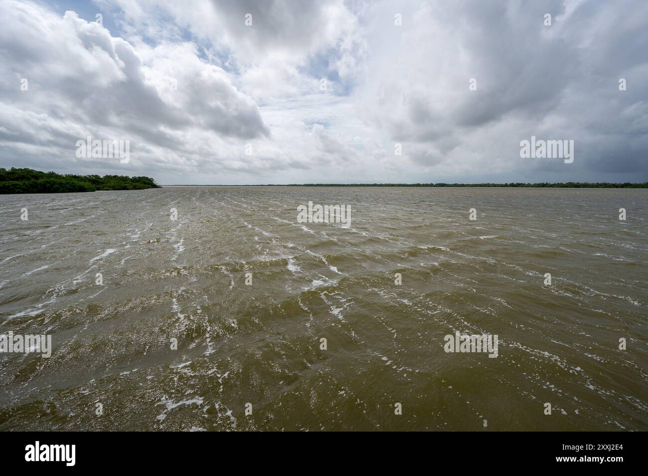 Frühe Wettereinflüsse des tropischen Sturms Debby im Everglades National Park, Florida mit starken Winden und Sturmwolken über dem West Lake. Stockfoto