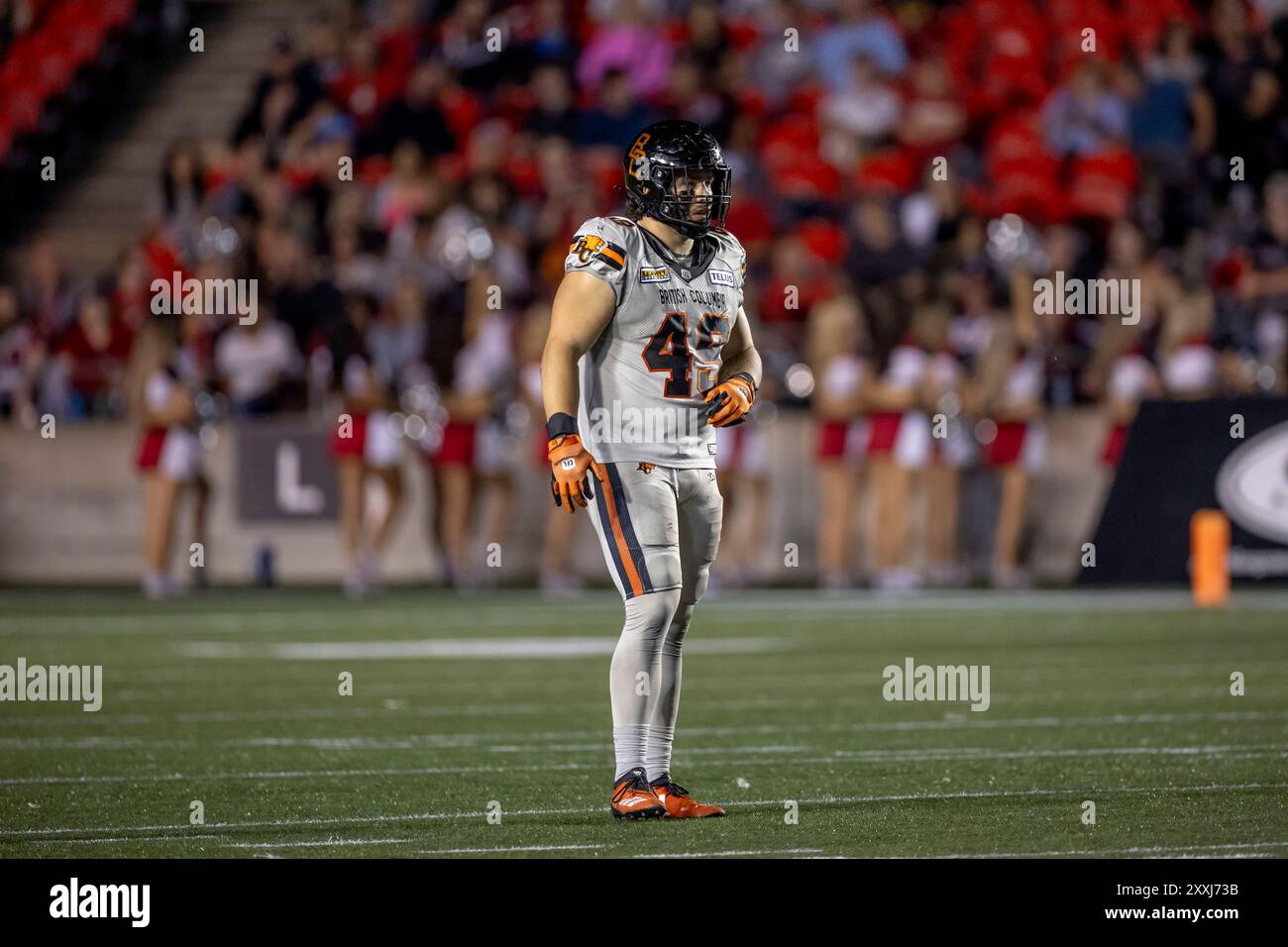 Ottawa, Kanada. August 2024. Terrence Ganyi (43) von den BC Lions. Die kanadische Football League (CFL) spielt regelmäßig in der Saison zwischen den BC L:Ions bei den Ottawa Redblacks. Die Redblacks gewannen das Spiel mit 34:27. Quelle: Sean Burges/Alamy Live News Stockfoto