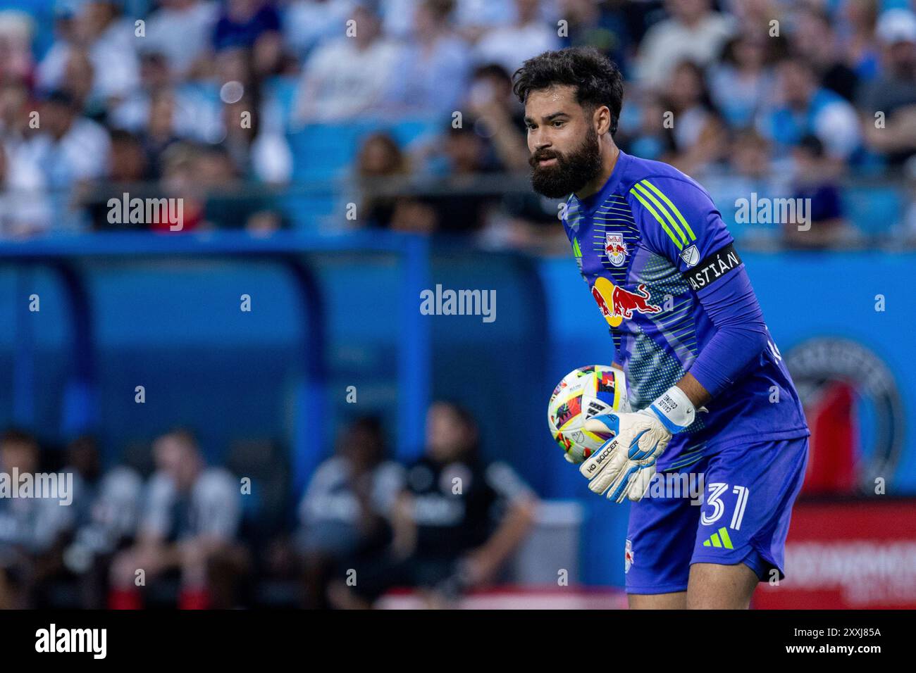 August 24, 2024: New York Red Bulls goalkeeper Carlos Miguel Coronel (31) with the ball against the Charlotte FC during the first half of the Major League Soccer match up at Bank of America Stadium in Charlotte, NC. (Scott KinserCal Sport Media) (Credit Image: © Scott Kinser/Cal Sport Media) (Cal Sport Media via AP Images) Stockfoto