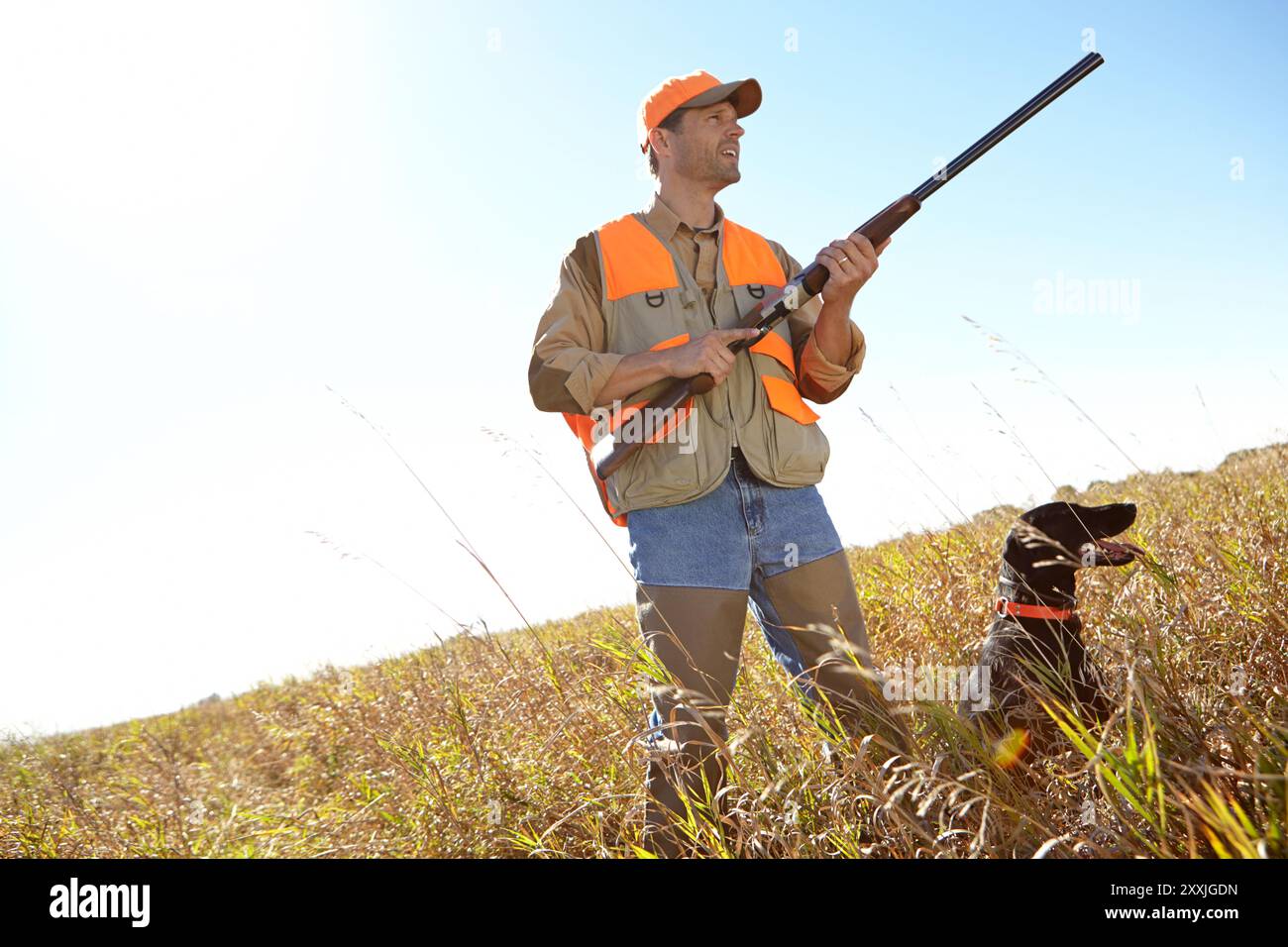 Mann, Hund und Gewehr im Freien für Jäger, überwachen Park und suchen nach Gefahren zusammen in der Natur. Reife Person, Haustier und Verfolgungsteam Stockfoto