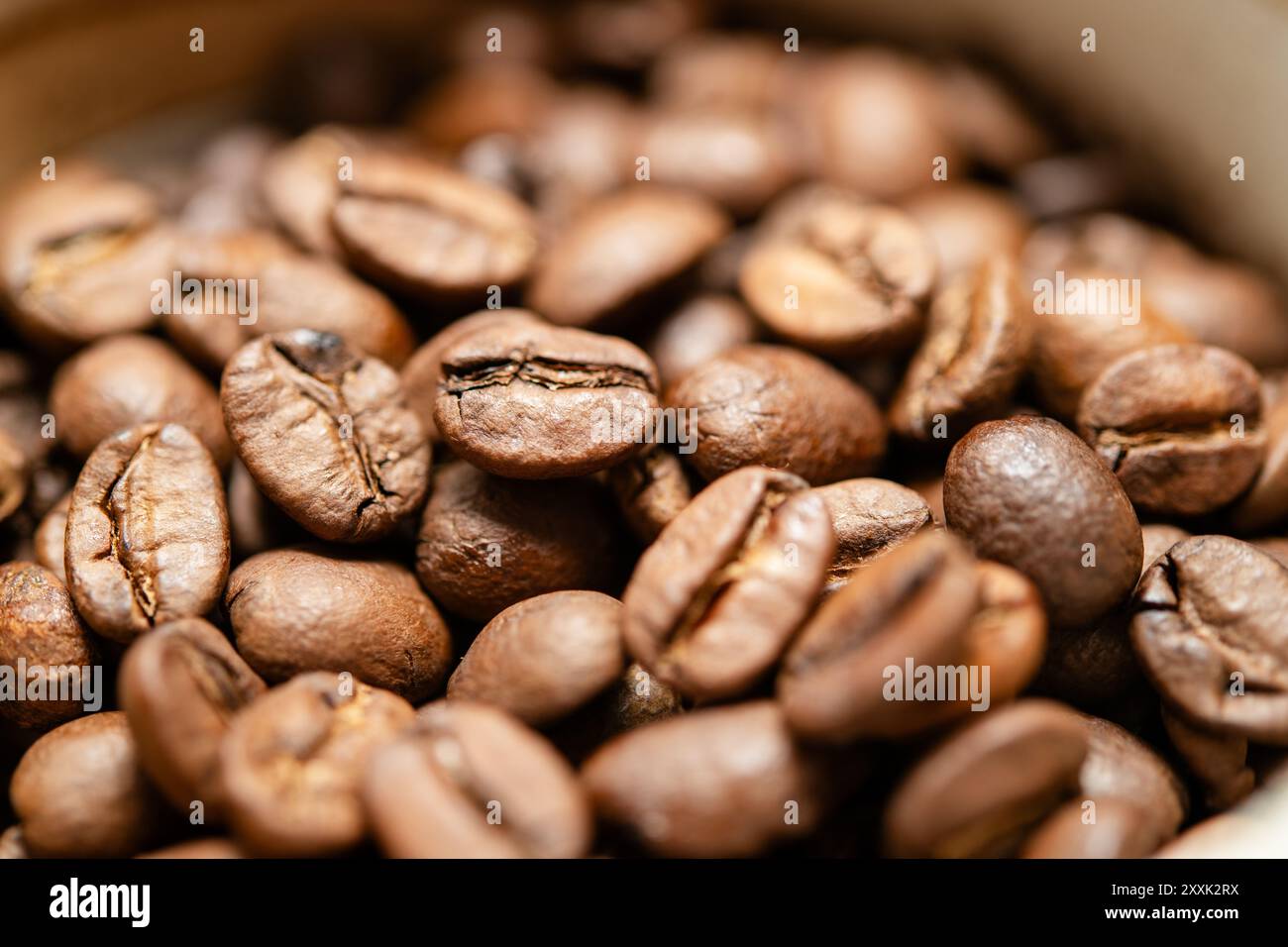 Nahaufnahme gerösteter Kaffeebohnen in einer Mahlmaschine, ideal für Kaffeeliebhaber, Barista und Enthusiasten, die ihre Lieblingsgetränke mit reichhaltigem fla zubereiten Stockfoto