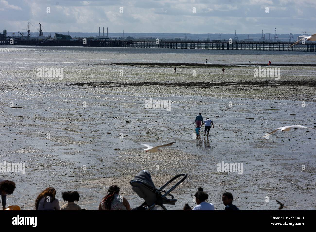 Southend-on-Sea Essex 25. August 2024 Wetterbilder: Besucher genießen die Küste von Southend auf See an einem windigen und kalten Feiertag Sonntag Credit: Ian Davidson/Alamy Live News Stockfoto