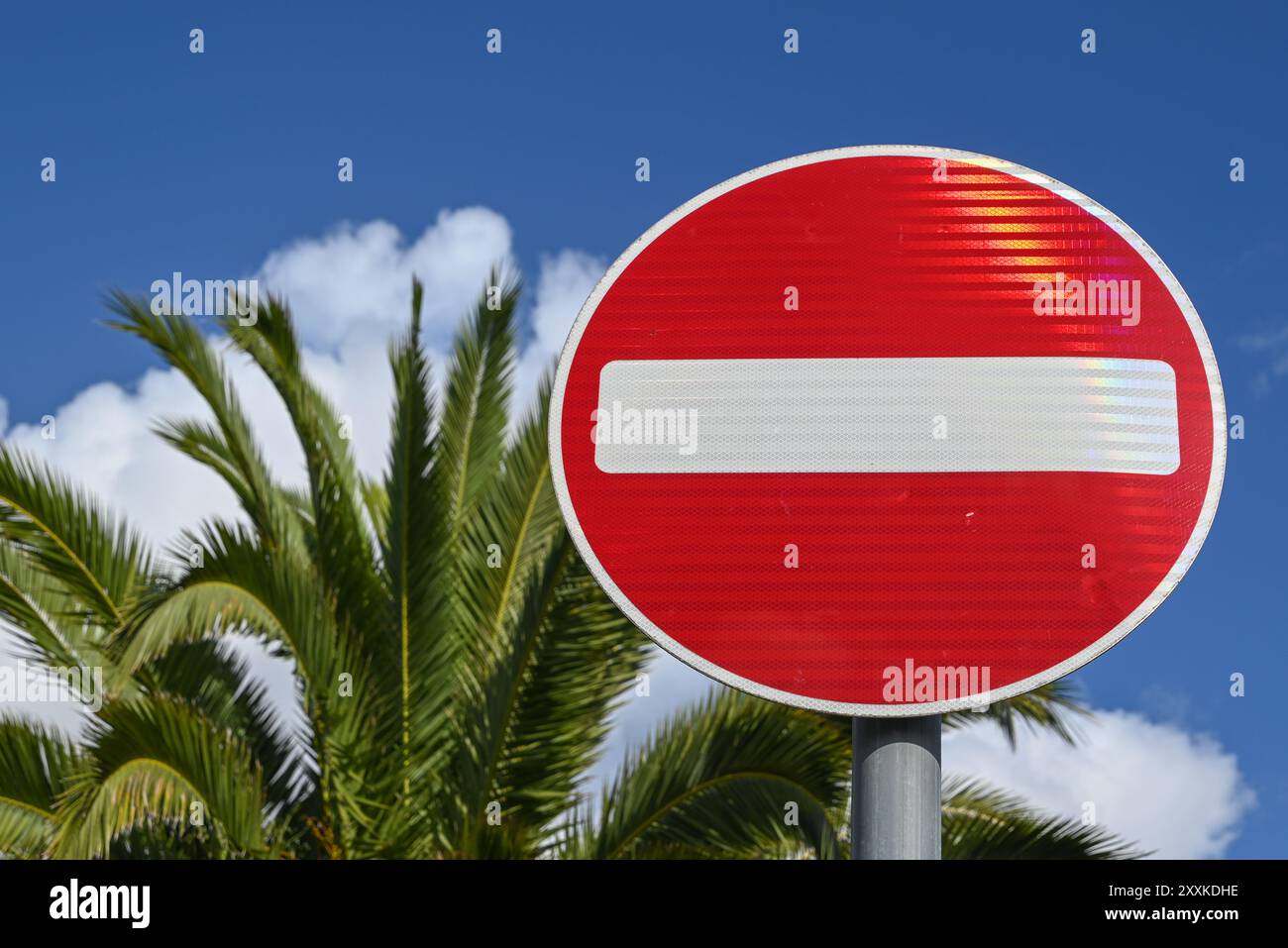Ein hellrotes Verkehrsschild ohne Zutritt steht im Kontrast zu einer unscharfen grünen Palme und blauem Himmel. Stockfoto