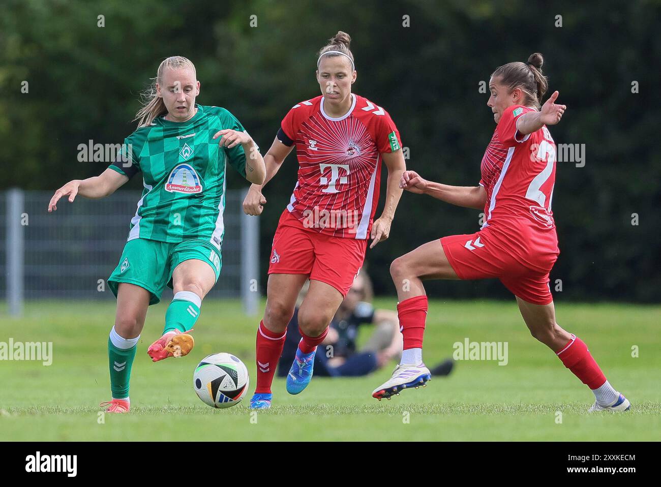 v.li.: Emöke Papai (SV Werder Bremen, 16), Nicole Billa (1. FC Köln, 17) und Laura Feiersinger (1. FC Köln, 27) im Zweikampf, Duell, Dynamik, Aktion, Action, Spielszene, 25.08.2024, Münster (Deutschland), Fussball, Testspiel Frauen, SV Werder Bremen - 1. FC Köln Stockfoto