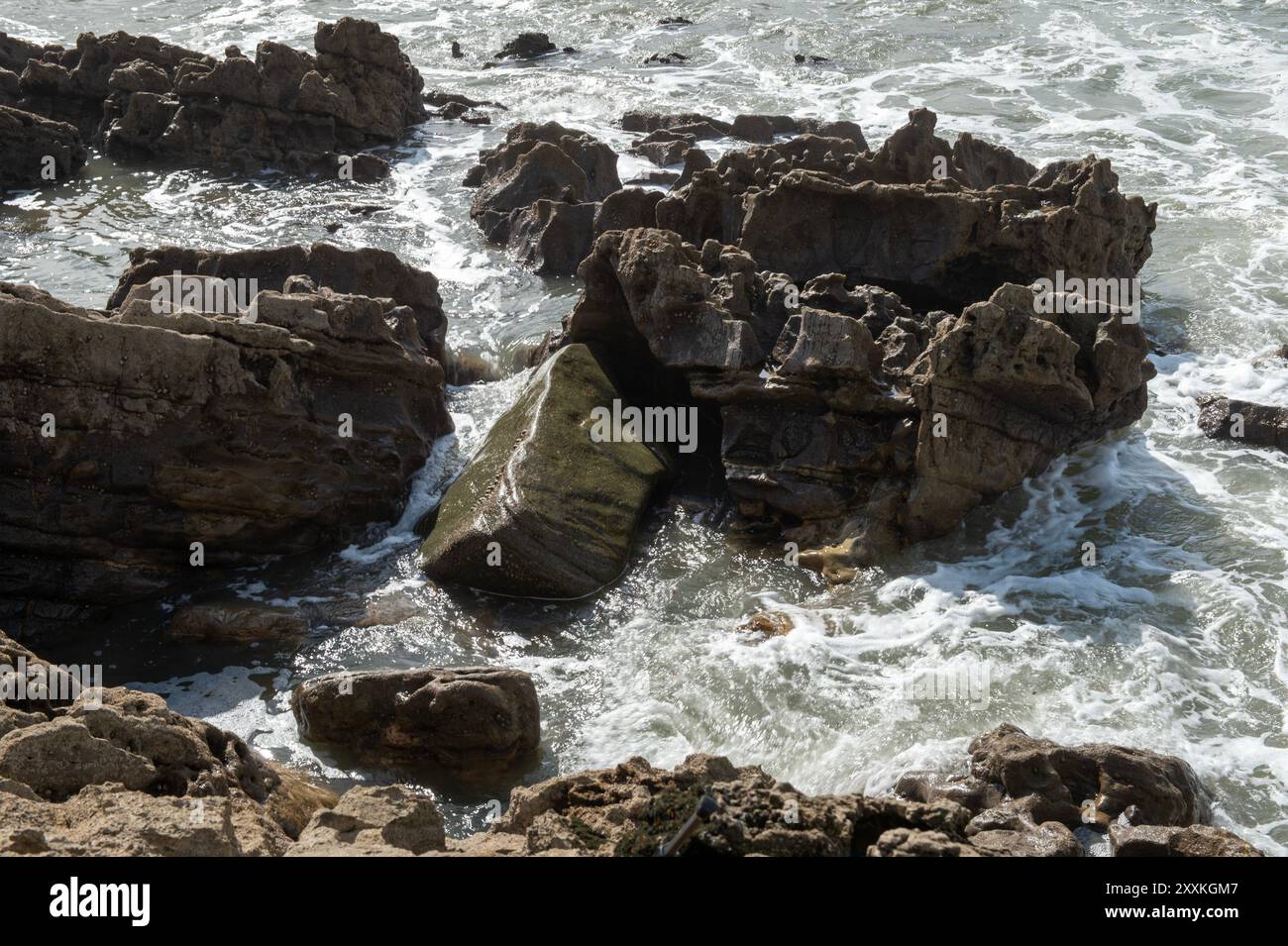 Der erratische grüne Felsbrocken der Mumbles liegt an der Stelle, an der ein Gletscher ihn ablagerte – eingeklemmt an der Uferlinie in der Brandung bei Limeslade, Gower, Wales Stockfoto
