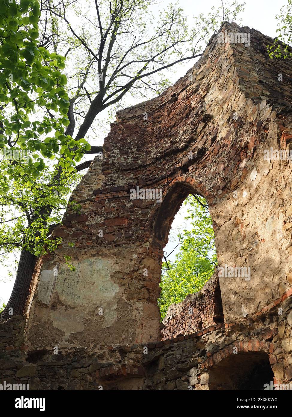 Ein alter Steinbogen, Teil der antiken Ruinen, rahmt einen Blick auf grüne Bäume unter klarem Himmel und kontrastiert die historische Struktur mit dem zeitlosen B Stockfoto