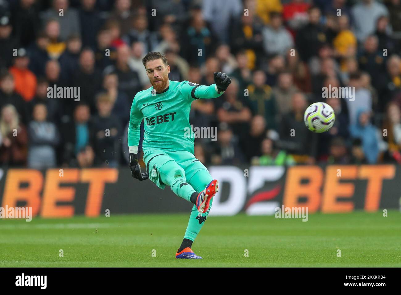 José Sá von Wolverhampton Wanderers in Aktion während des Premier League-Spiels Wolverhampton Wanderers gegen Chelsea in Molineux, Wolverhampton, Großbritannien, 25. August 2024 (Foto: Gareth Evans/News Images) Stockfoto