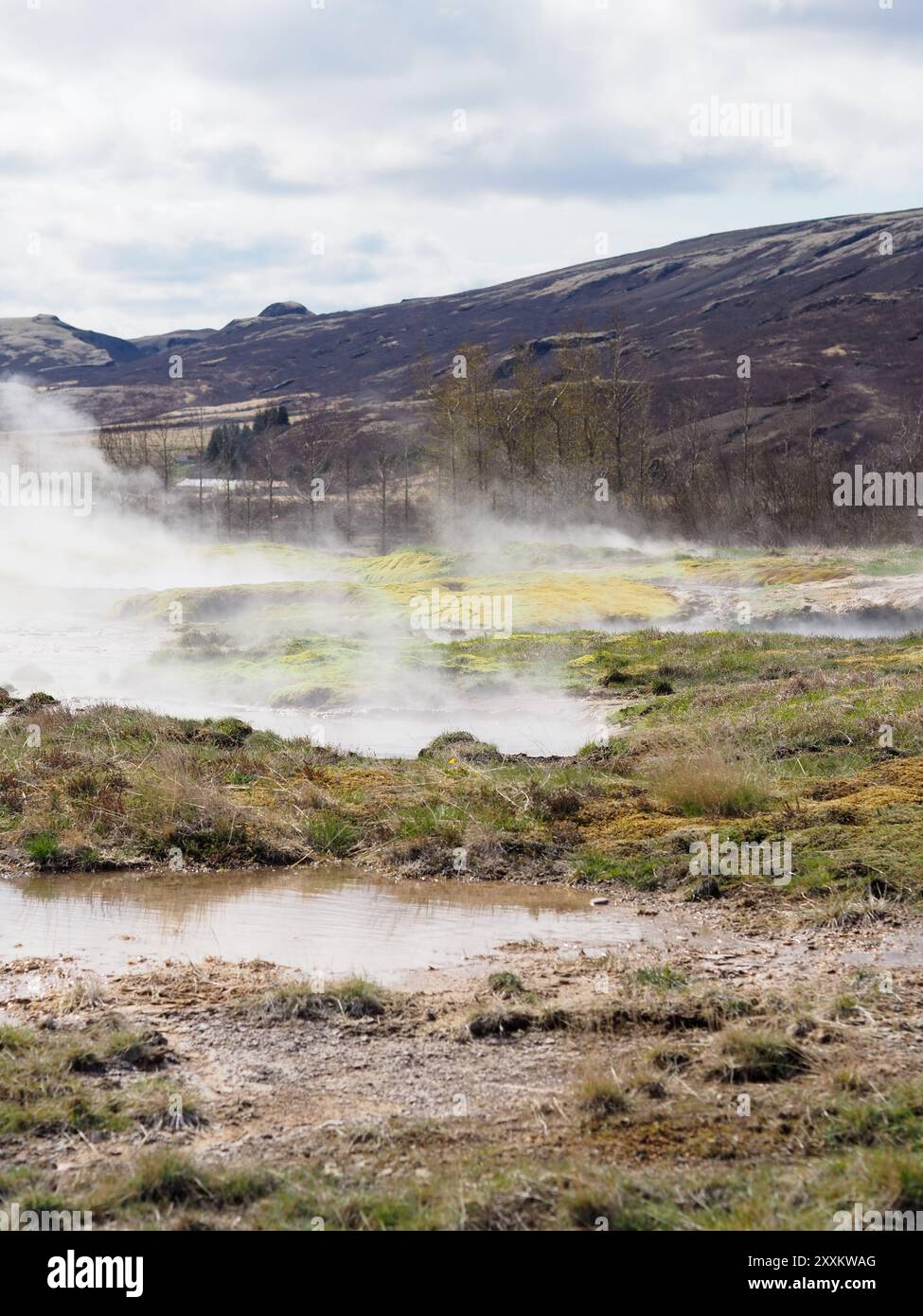 Malerische Aussicht mit geothermischem Dampf, der aus der Landschaft steigt, mit Details von grasbewachsenen und felsigen Gebieten und entfernten Bergen unter einem teilweise bewölkten SK Stockfoto