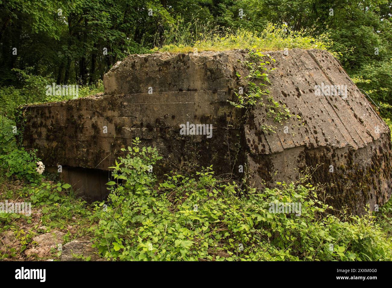 Ein verlassener Bunker im Wald auf dem Mount Dajti bei Tirana in Zentralalbanien. Ein Relikt aus der Bunkerisierung der Hoxha-Regierung in den 1960er bis 1980er Jahren Stockfoto