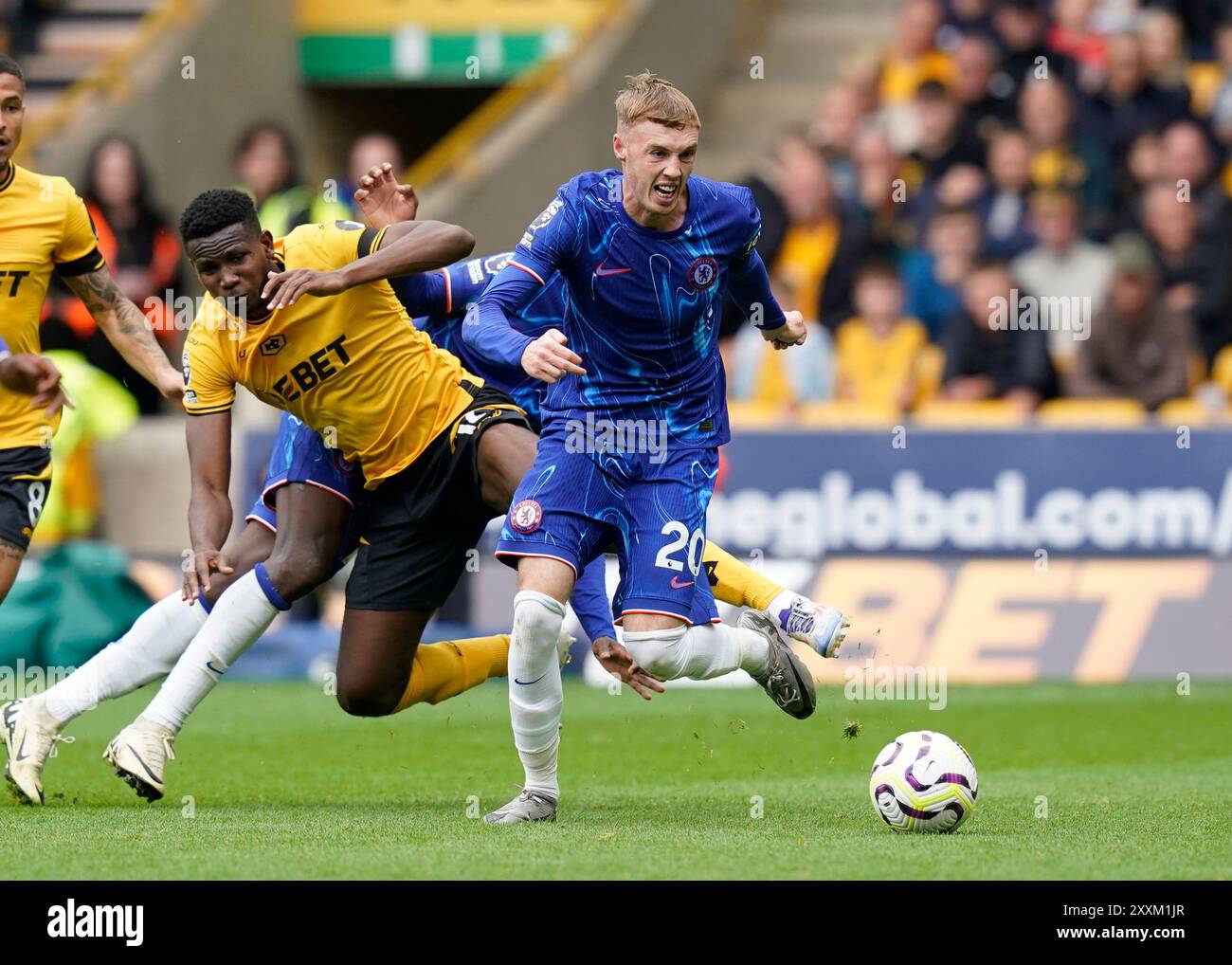 Wolverhampton, Großbritannien. August 2024. Cole Palmer aus Chelsea überspringt an der Yerson Mosquera von Wolverhampton Wanderers vorbei und erreicht das fünfte Tor während des Premier League-Spiels in Molineux, Wolverhampton. Der Bildnachweis sollte lauten: Andrew Yates/Sportimage Credit: Sportimage Ltd/Alamy Live News Stockfoto