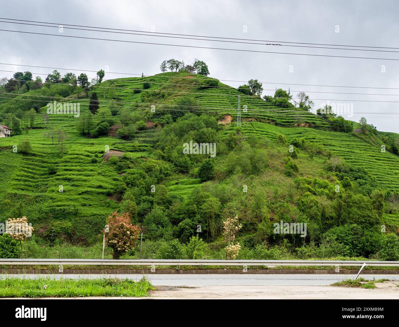 Bewachsene grüne Berge und Straße im Bezirk Caykara in der Türkei unter grauem bewölktem Himmel Stockfoto