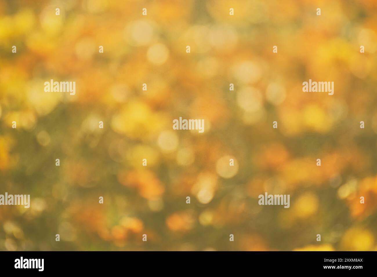 Verschwommen orange Lichter Rundschreiben bokeh, Defokussierten abstrakte Rundschreiben bokeh Stockfoto