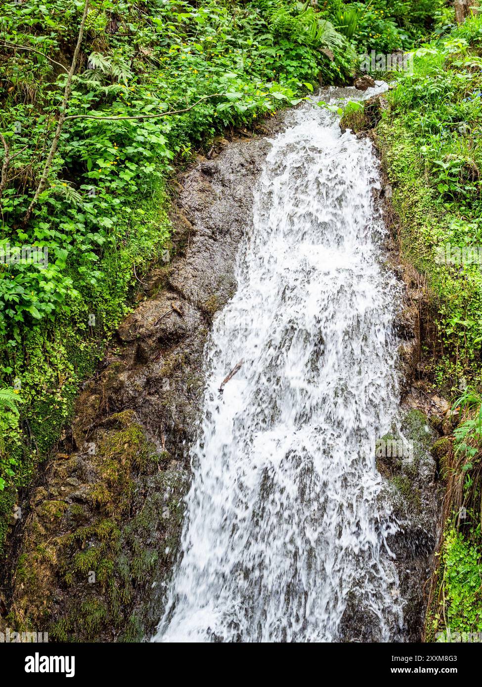 Wasserfall in den Bergen im Bezirk Caykara der Türkei an bewölktem Sommertag Stockfoto