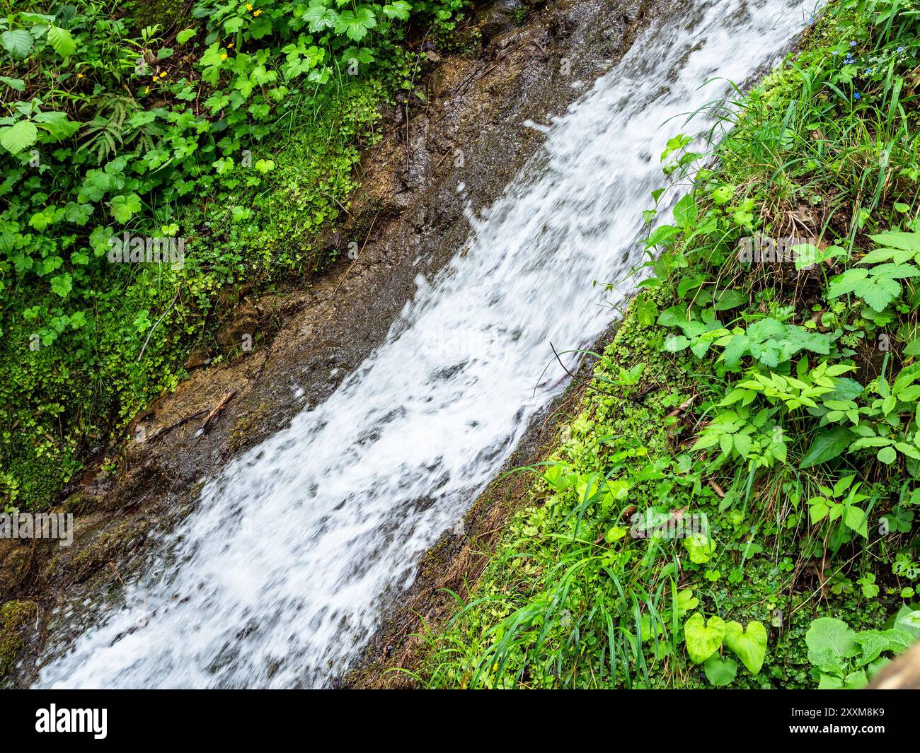 Wasserfluss aus dem Wasserfall in den Bergen im Bezirk Caykara der Türkei an bewölktem Sommertag Stockfoto