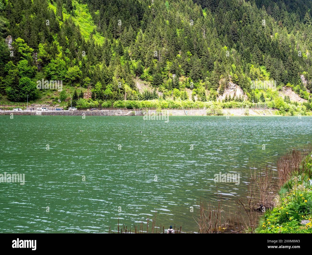 Oberfläche des Usungol-Sees in grün bewachsenen Bergen im Bezirk Caykara der Provinz Trabzon, Türkei am Sommertag Stockfoto
