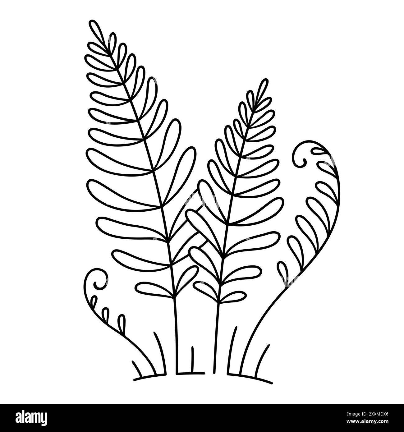 Farnpflanzen-Doodle-Zeichnung. Einfache schwarze und weiße Strichgrafik-Vektor-Illustration. Stock Vektor