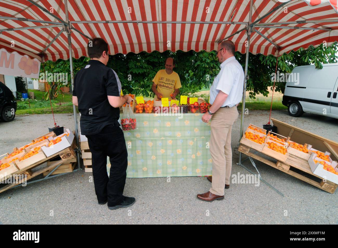 Aprikosenverkauf am Marktstand auf der Straße, Landwirt verkauft landwirtschaftliche Produkte Aprikosenverkauf am Marktstand auf der Straße Stockfoto