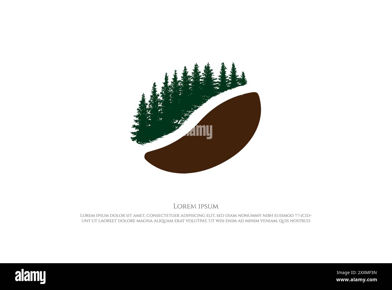 Kaffeebohne mit Kiefer Zedernholz Fichte Nadelholz Immergrüne Lärche Zypresse Hemlock Tanne Bäume Wald Logo Design Vektor Stock Vektor