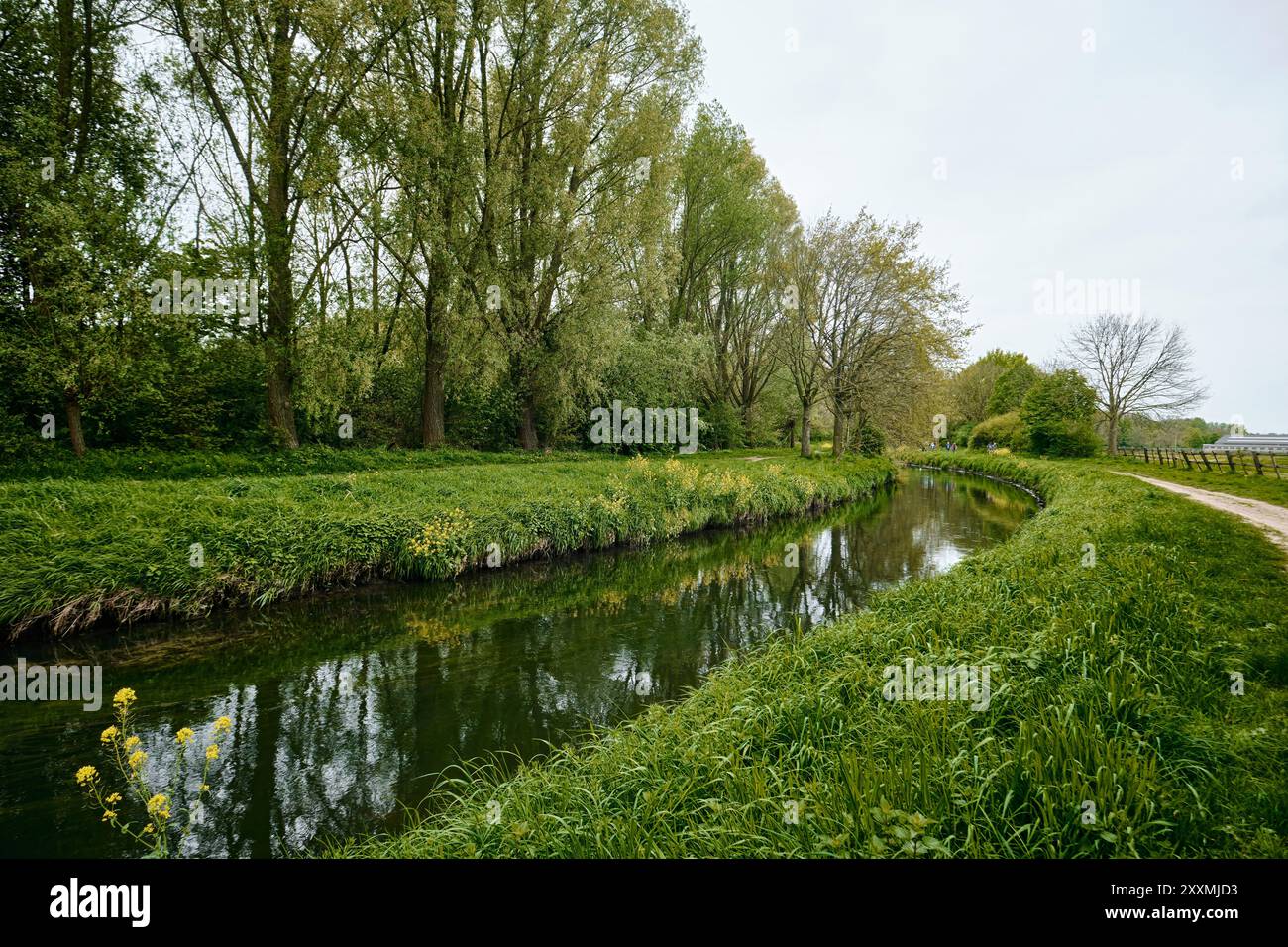 Limburg, Niederlande - 10. April 2024: Fluss mit seinen Gewässern, umgeben von grünen Grasdämmen in Sweikhuizen, Sittard-Geleen Stockfoto