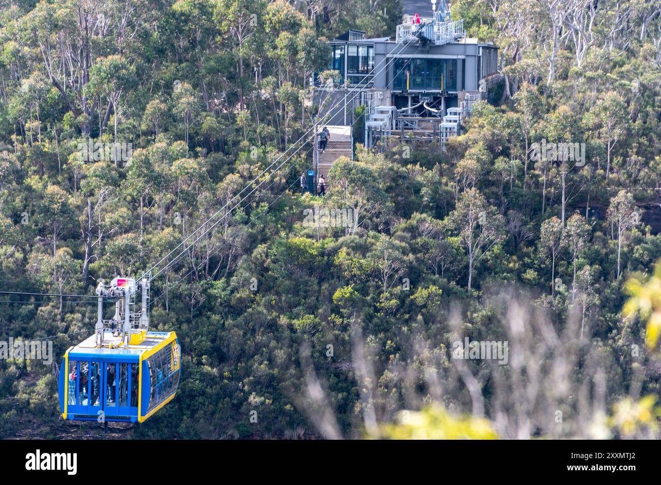 Zwischen den Klippen über dem Jamison Valley auf 270 Metern gleitet die höchste Seilbahn Australiens, ein Scenic Skyway mit Glasboden (Cable Car) Stockfoto