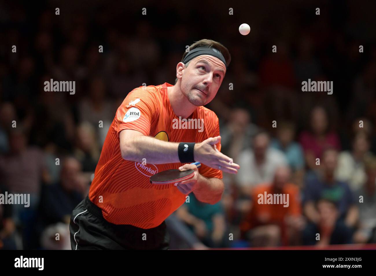 TTBL Borussia Düsseldorf - ASC Grünwettersbach am 25.08.2024 im ARAG CenterCourt in Düsseldorf Timo Boll ( Düsseldorf ) Foto: Revierfoto Credit: ddp Media GmbH/Alamy Live News Stockfoto