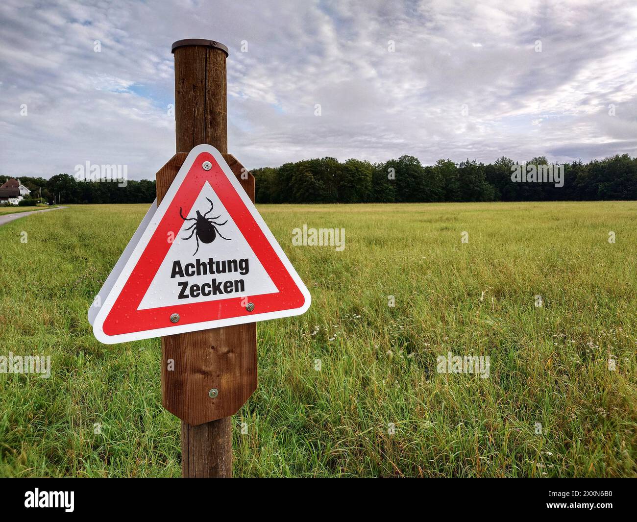 München, Bayern, Deutschland. August 2024. Ein Beispiel für eine Schilderwarnung für Zecken im Münchner Blumenau. Süddeutschland gehört zu den roten Zonen für durch Zecken übertragene Krankheiten wie FSME und andere Krankheiten. (Kreditbild: © Sachelle Babbar/ZUMA Press Wire) NUR REDAKTIONELLE VERWENDUNG! Nicht für kommerzielle ZWECKE! Stockfoto