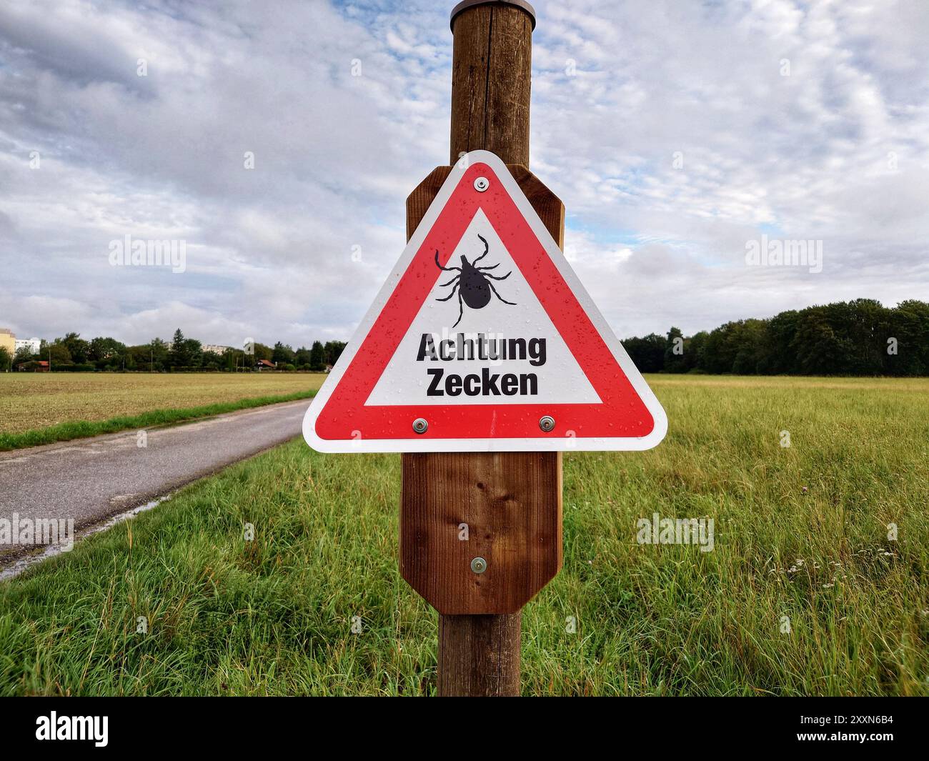 München, Bayern, Deutschland. August 2024. Ein Beispiel für eine Schilderwarnung für Zecken im Münchner Blumenau. Süddeutschland gehört zu den roten Zonen für durch Zecken übertragene Krankheiten wie FSME und andere Krankheiten. (Kreditbild: © Sachelle Babbar/ZUMA Press Wire) NUR REDAKTIONELLE VERWENDUNG! Nicht für kommerzielle ZWECKE! Stockfoto