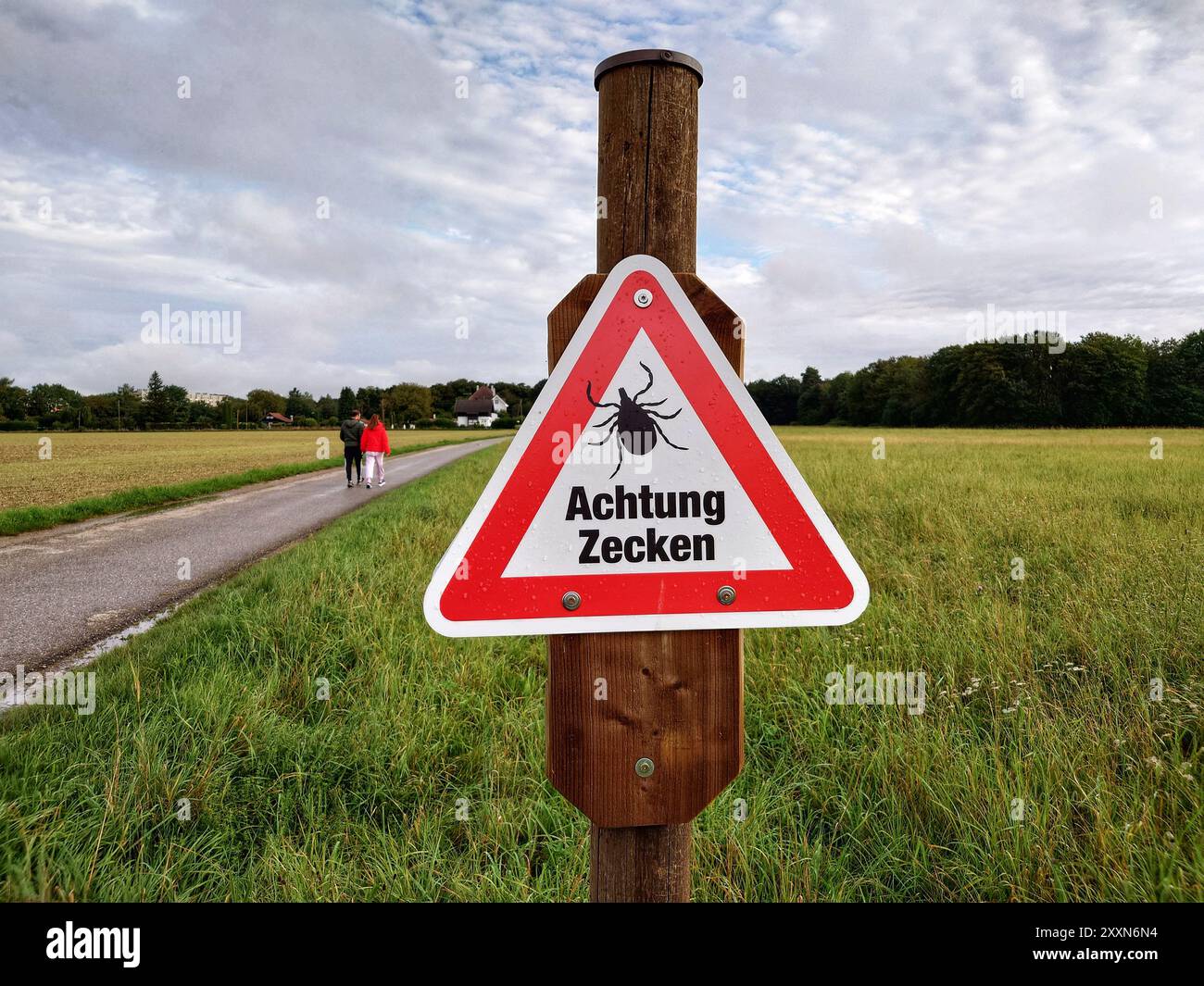 München, Bayern, Deutschland. August 2024. Ein Beispiel für eine Schilderwarnung für Zecken im Münchner Blumenau. Süddeutschland gehört zu den roten Zonen für durch Zecken übertragene Krankheiten wie FSME und andere Krankheiten. (Kreditbild: © Sachelle Babbar/ZUMA Press Wire) NUR REDAKTIONELLE VERWENDUNG! Nicht für kommerzielle ZWECKE! Stockfoto
