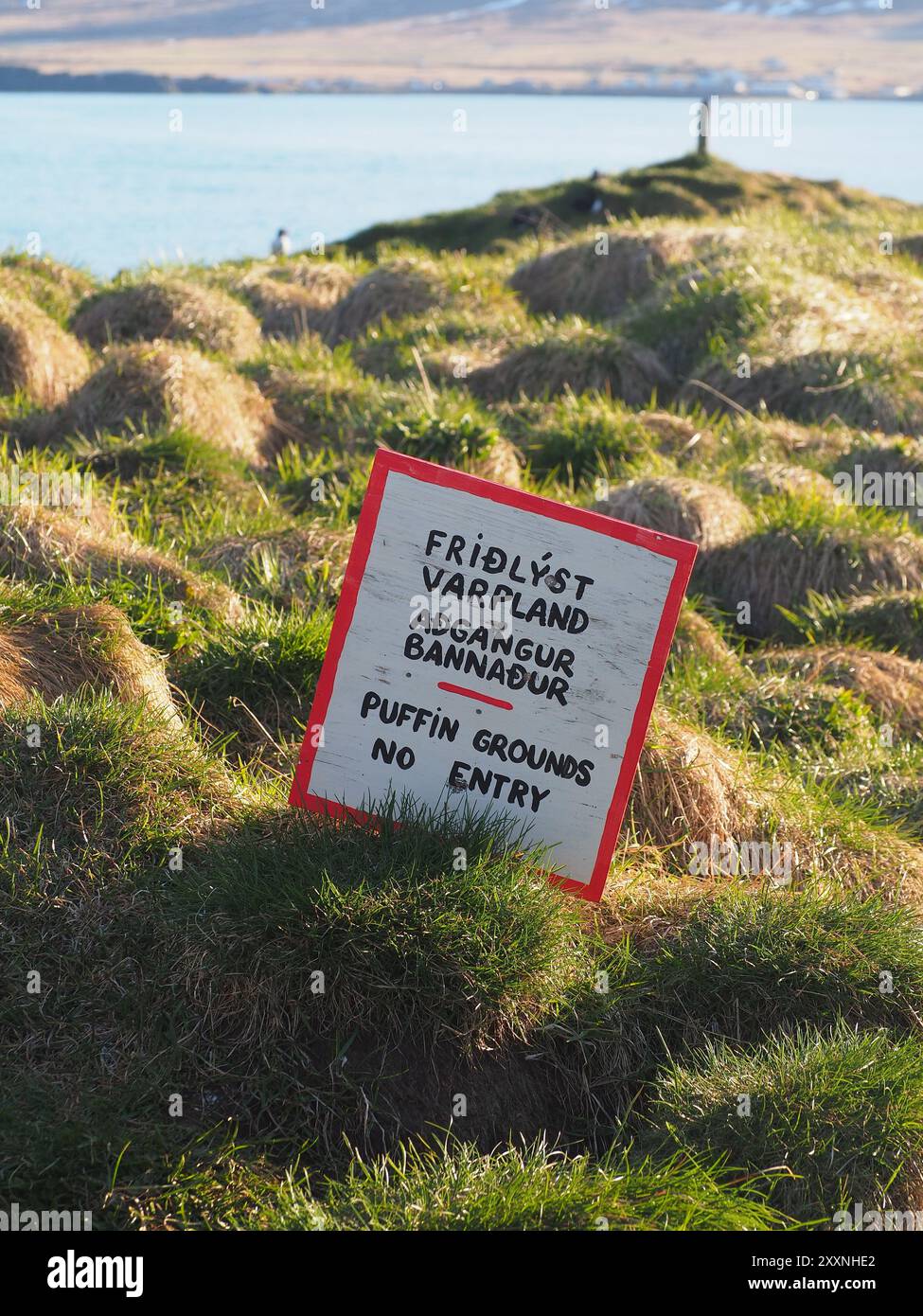 Puffin Marina, Island - 15. Mai 2024: Ein Schild mit eingeschränkten Zuchtgebieten für Papageientaucher, eingebettet in eine zerklüftete Küstenlandschaft mit Grashügeln und sp Stockfoto