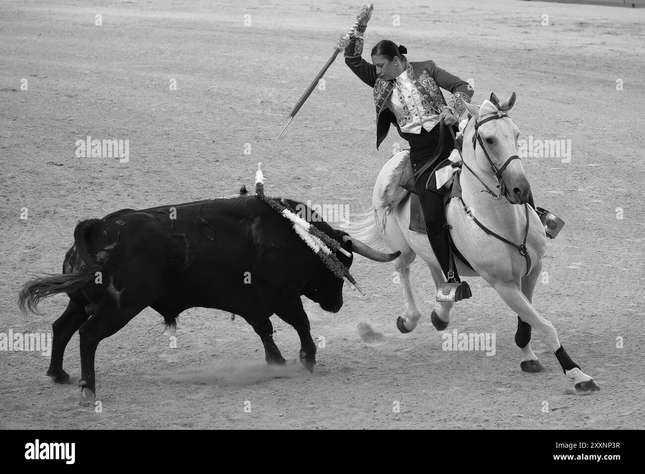 Der Rejoneador Ana Rita bekämpft den Stier während einer Corrida de Rejonones in der Stierkampfarena Las Ventas in Madrid, 25. August 2024 Spanien Stockfoto