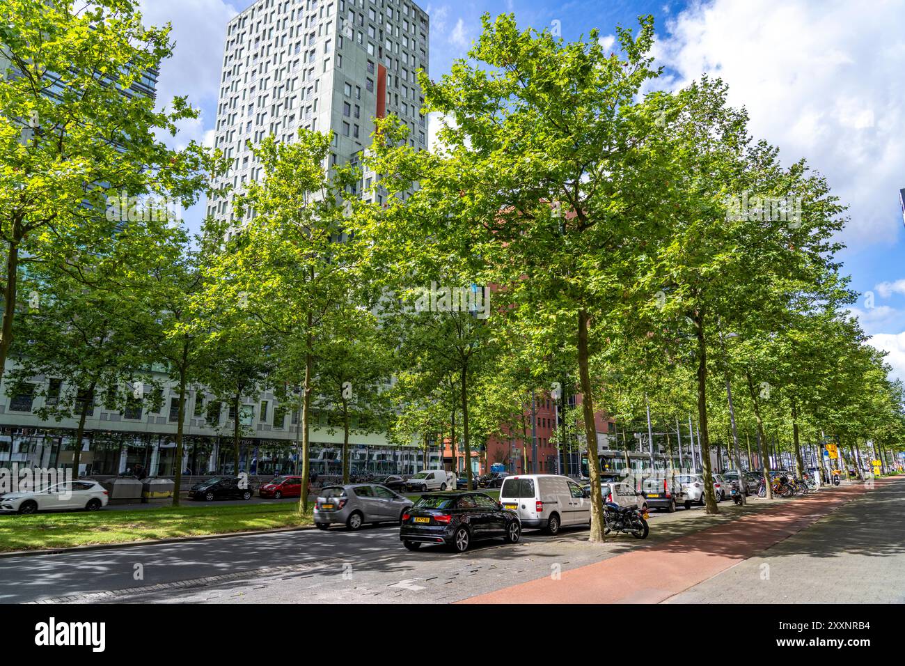 Städtische Begrünung, innerstädtische Straße Laan op Zuid, im Rotterdamer Stadtteil Feijenoord, 4 Bahnen, 2 Straßenbahnstrecken, Radwege auf beiden Seiten, Fußweg Stockfoto