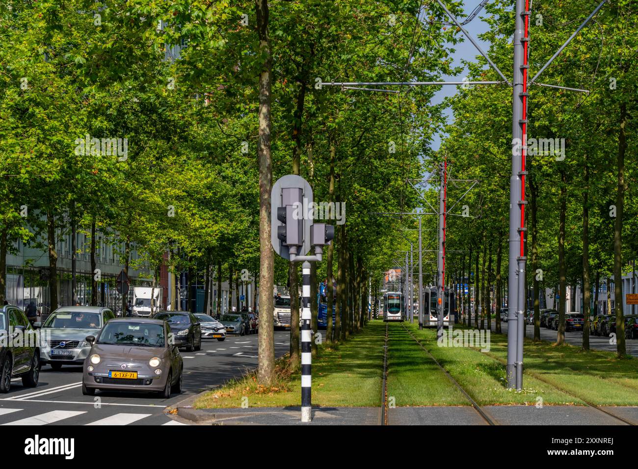 Städtische Begrünung, innerstädtische Straße Laan op Zuid, im Rotterdamer Stadtteil Feijenoord, 4 Bahnen, 2 Straßenbahnstrecken, Radwege auf beiden Seiten, Fußweg Stockfoto