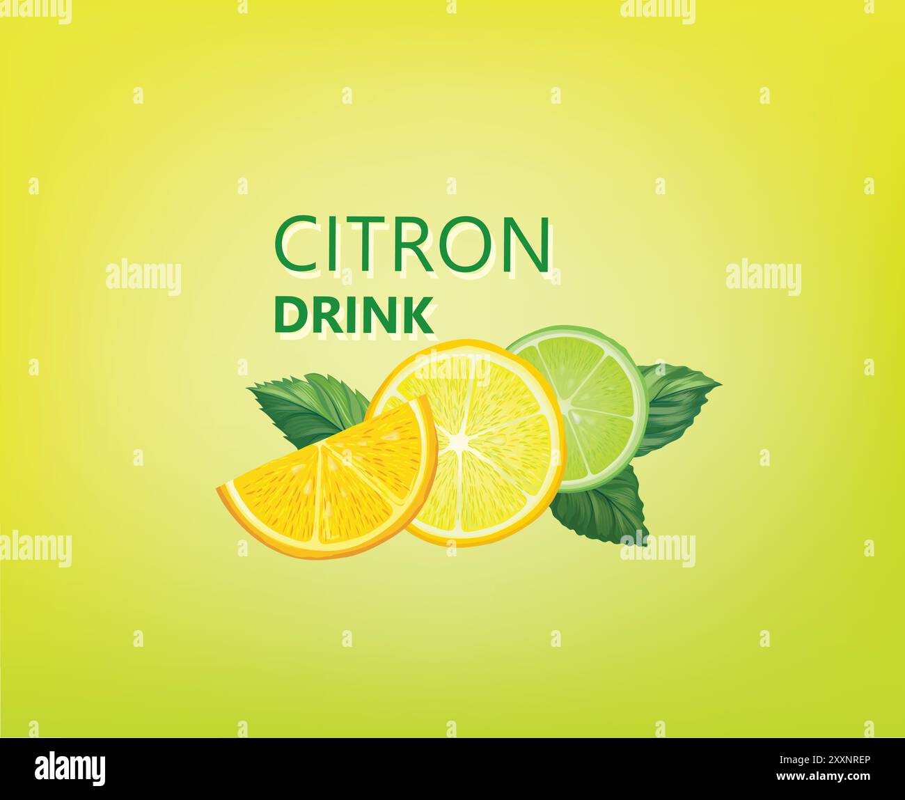 Frisches Obst mit Minzblättern. Frische Orange, mandarine in Scheiben geschnitten. Vektor bunter Zitrusnahrungshintergrund mit Fruchtsaftgetränk. Stock Vektor