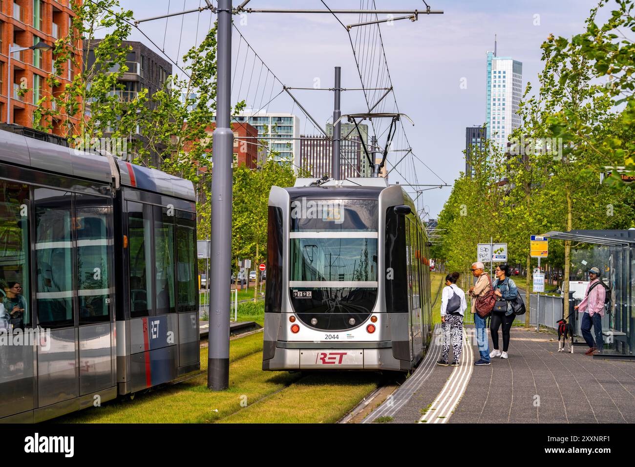 Städtische Begrünung, innerstädtische Straße Laan op Zuid, im Rotterdamer Stadtteil Feijenoord, 4 Bahnen, 2 Straßenbahnstrecken, Radwege auf beiden Seiten, Fußweg Stockfoto