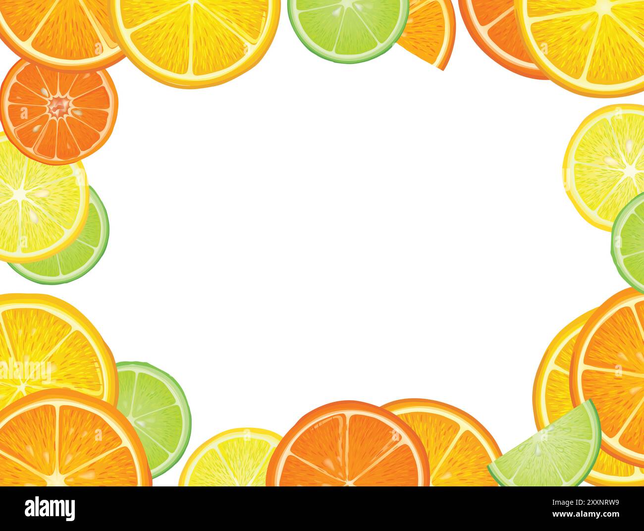 Obst Zitrushintergrund. Frische Scheibe Orange, Zitrone, Limette, Grapefruit, Mandarinenpastete auf weißem Hintergrund mit Blättern. Farbenfroher Vektor-Hintergrund mit Stock Vektor
