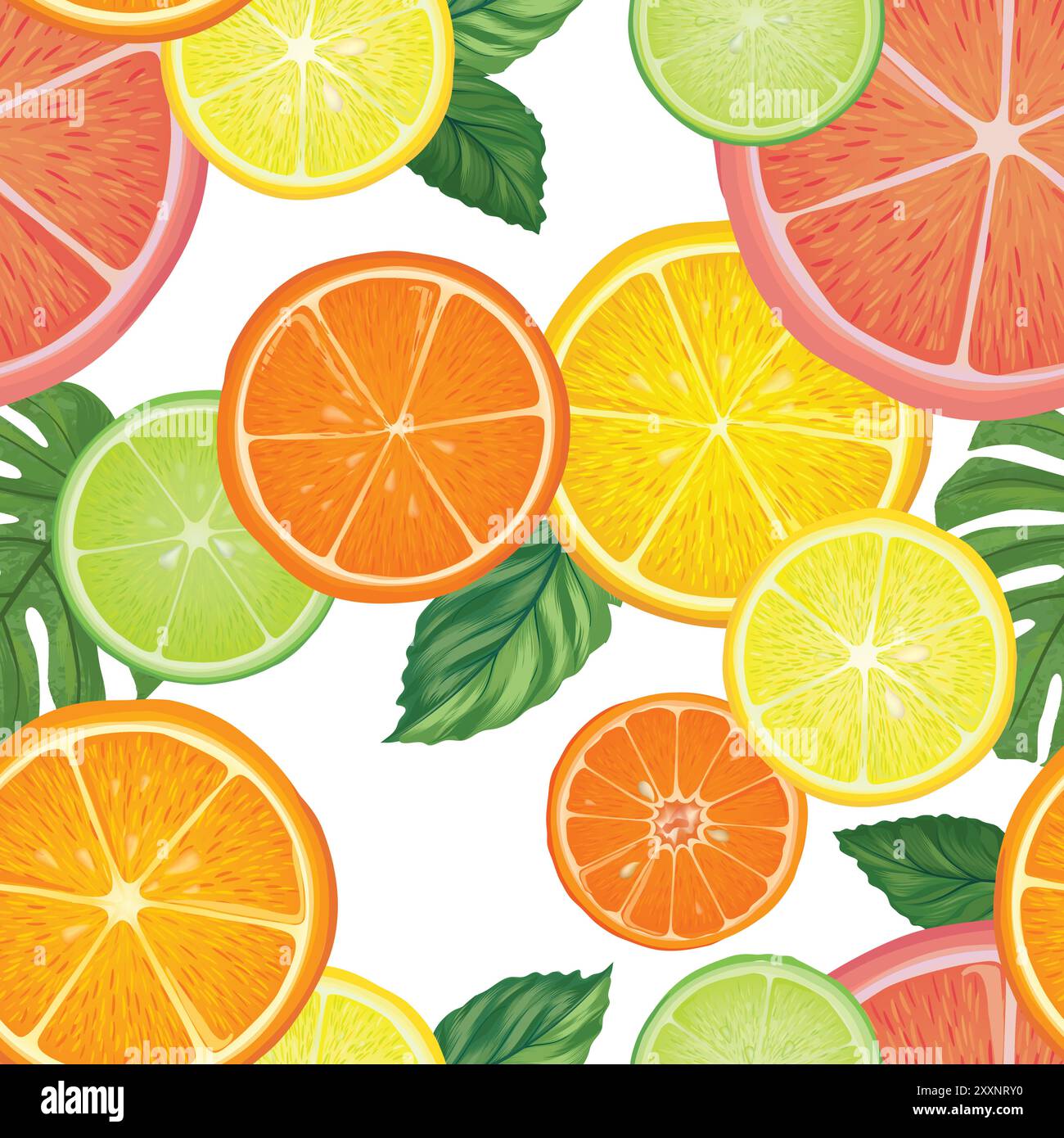 Obst Zitrusmuster. Frische Scheibe Orange, Zitrone, Limette, Grapefruit, Mandarinenpastete auf weißem Hintergrund mit Blättern. Nahtlose Textur. Vektorfarbe Stock Vektor