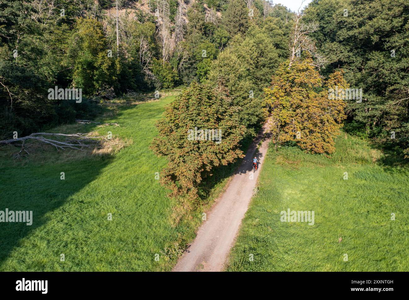 Das Selketal zwischen Meisdorf und Mägdesprung Naturlandschaft Selketalstieg Stockfoto