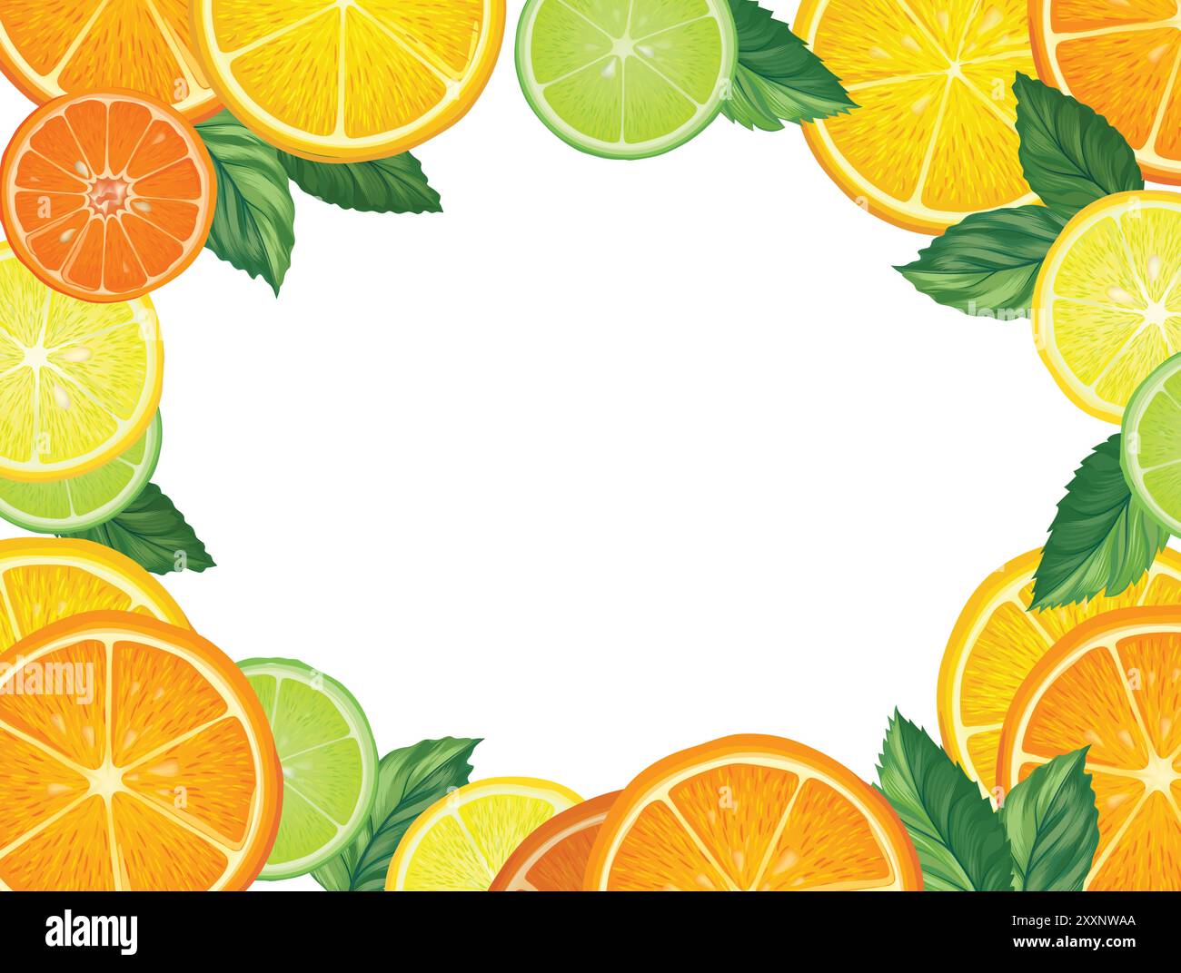 Obst Zitrushintergrund. Frische Scheibe Orange, Zitrone, Limette, Grapefruit, Mandarinenpastete auf weißem Hintergrund mit Blättern. Farbenfroher Vektor-Hintergrund mit Stock Vektor