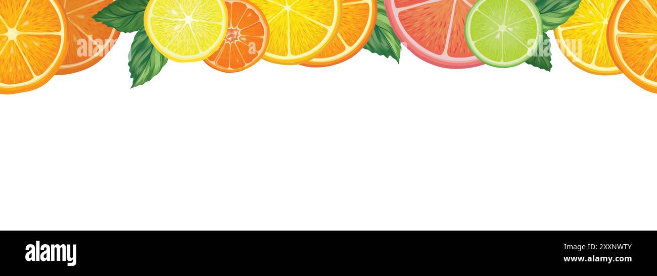 Früchte Zitrus nahtloser Hintergrund. Frische Scheibe Orange, Zitrone, Limette, Grapefruit, Mandarinenpastete auf weißem Hintergrund mit Blättern. Vektorfarbenes bac Stock Vektor