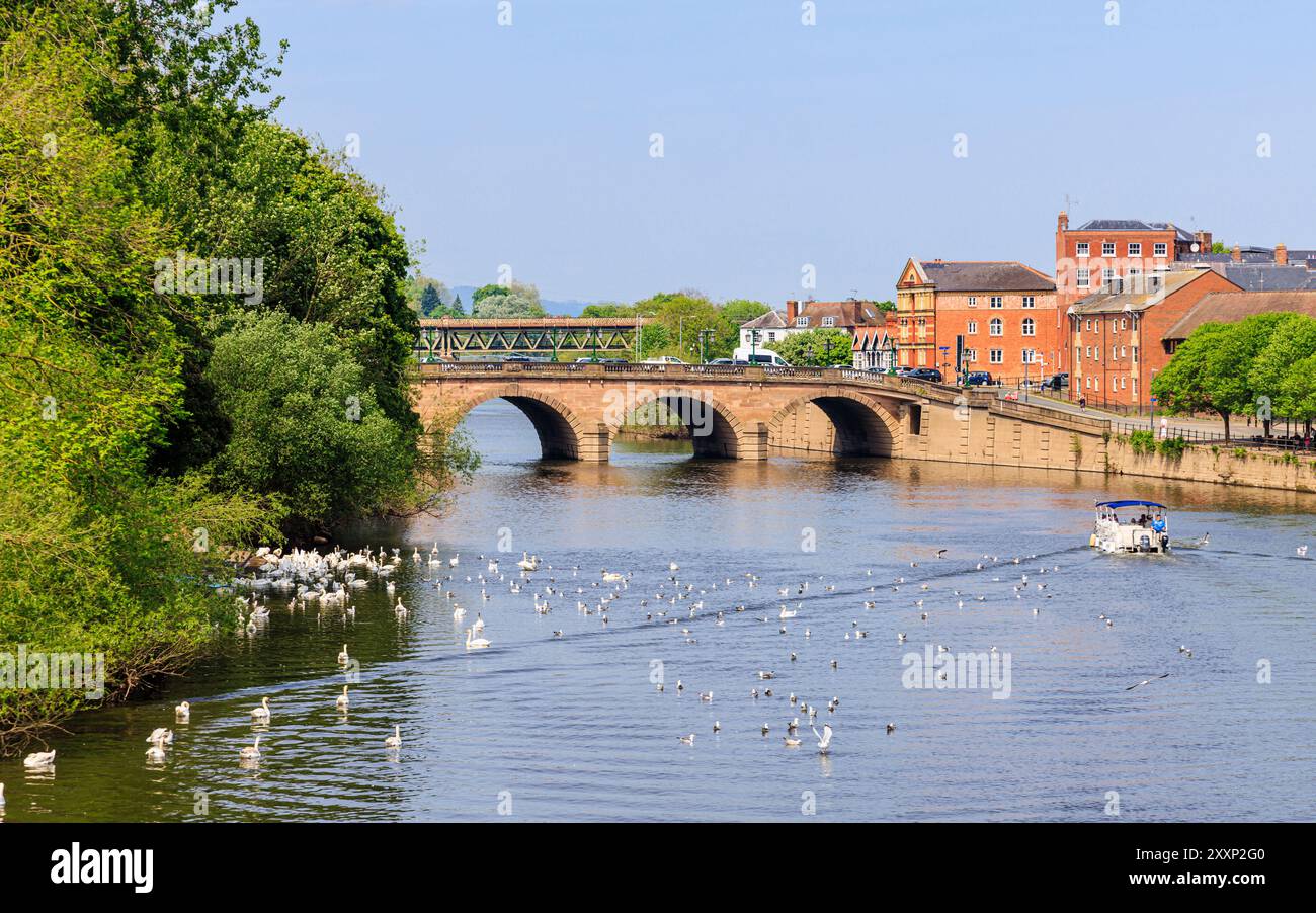 Blick entlang des Flusses Severn zur Wards Worcester Bridge in Worcester, einer Kathedralstadt und Kreisstadt von Worcestershire, West Midlands, England Stockfoto