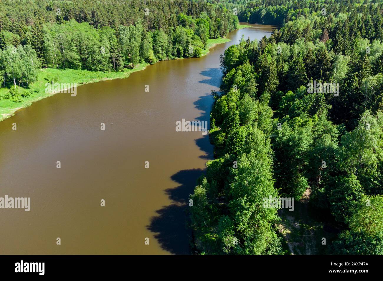 Ein Blick aus der Vogelperspektive durch die Bäume eines Gewässers in einer malerischen Wildnis. Teich am Stradalovka-Fluss, Balabanovo, Russland Stockfoto