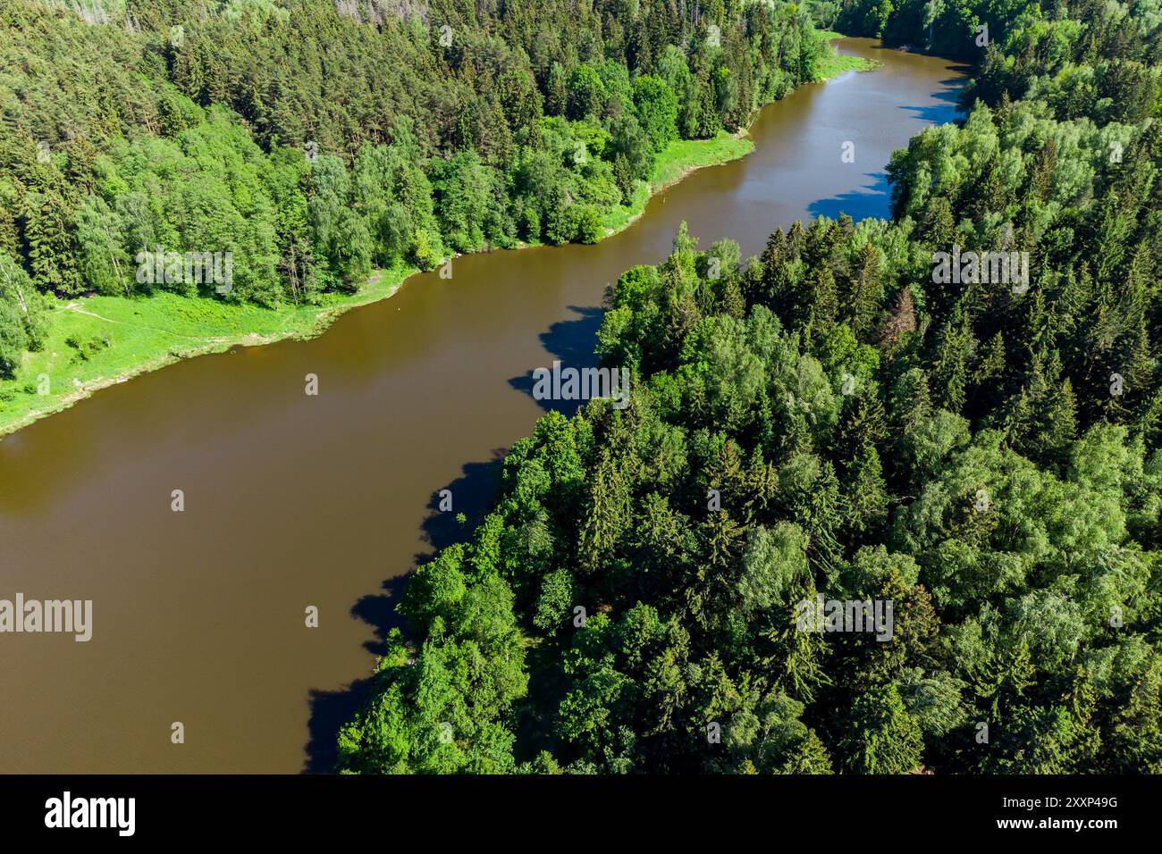 Ein Blick aus der Vogelperspektive durch die Bäume eines Gewässers in einer malerischen Wildnis. Teich am Stradalovka-Fluss, Balabanovo, Russland Stockfoto
