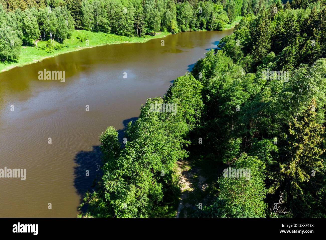 Ein Blick aus der Vogelperspektive durch die Bäume eines Gewässers in einer malerischen Wildnis. Teich am Stradalovka-Fluss, Balabanovo, Russland Stockfoto