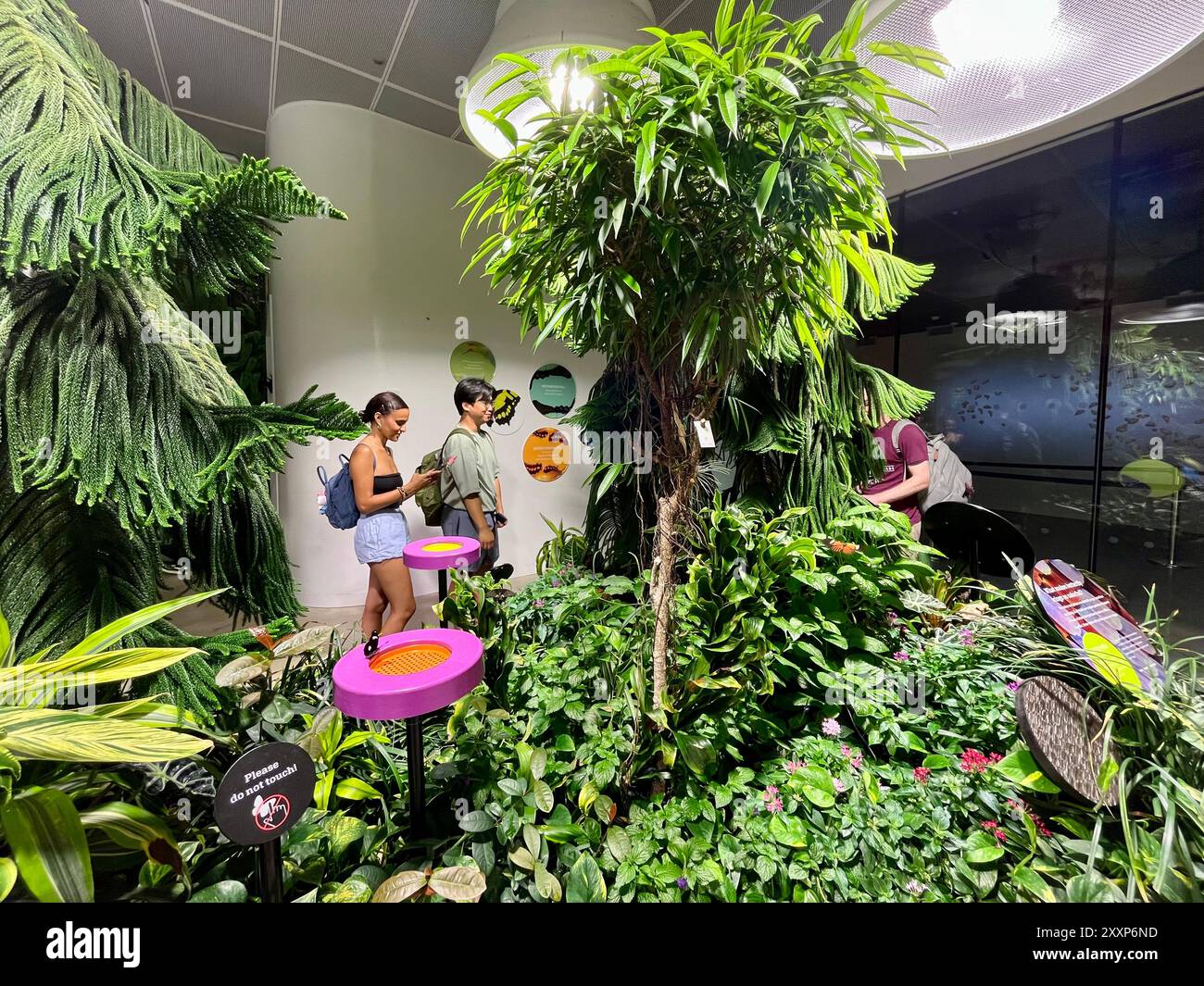 Erwachsene und Kinder besuchen den Butterfly Pavilion im Museum of Natural History, New York, USA. Stockfoto