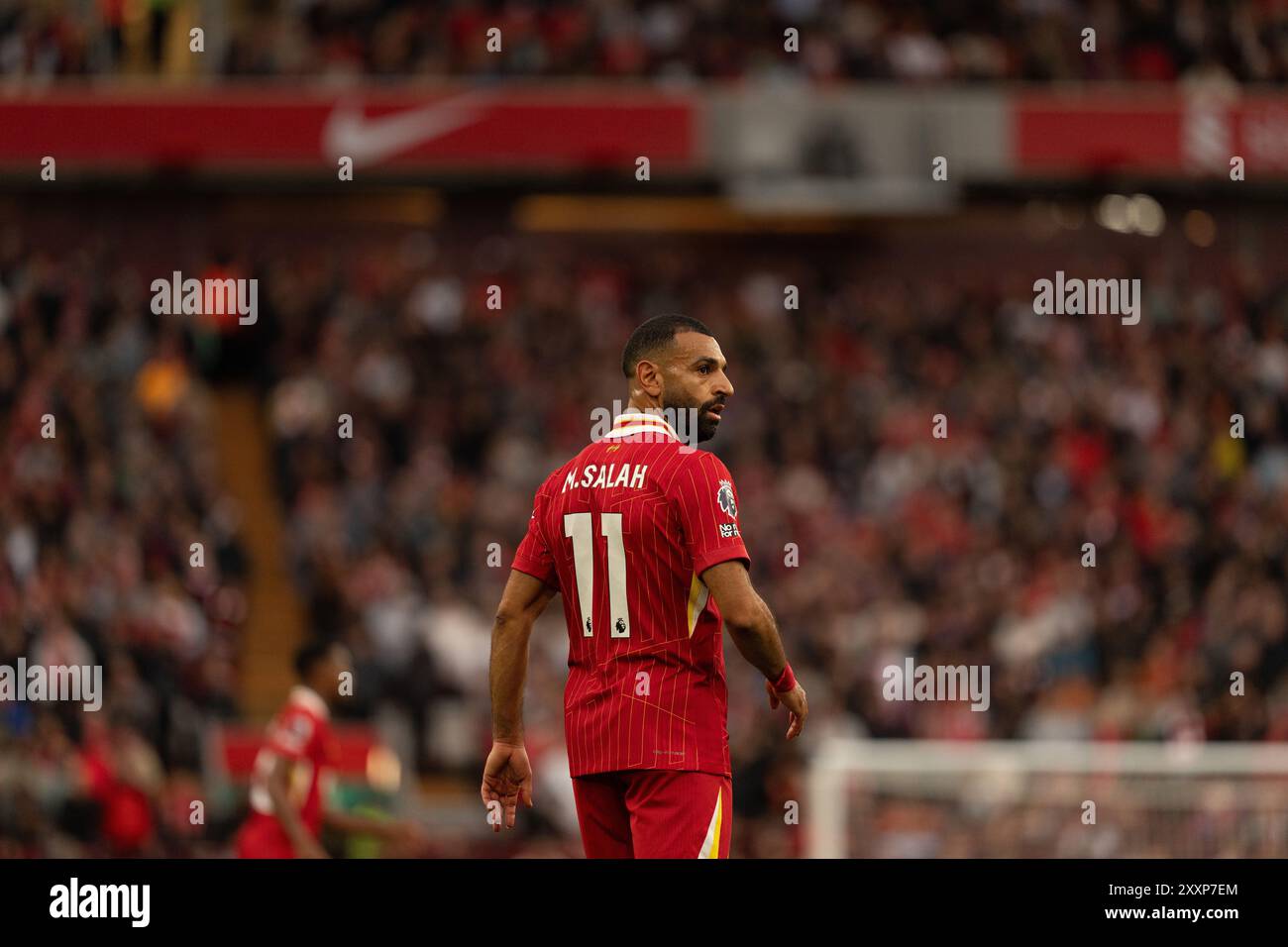 Anfield, Liverpool am Sonntag, den 25. August 2024. Mohamed Salah aus Liverpool während des Premier League-Spiels zwischen Liverpool und Brentford in Anfield, Liverpool am Sonntag, den 25. August 2024. (Foto: Steven Halliwell | MI News) Credit: MI News & Sport /Alamy Live News Stockfoto