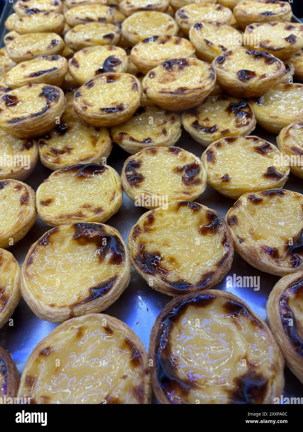 Pastell de Nata (Creme Tart) zum Verkauf, Lissabon, Portugal. Stockfoto