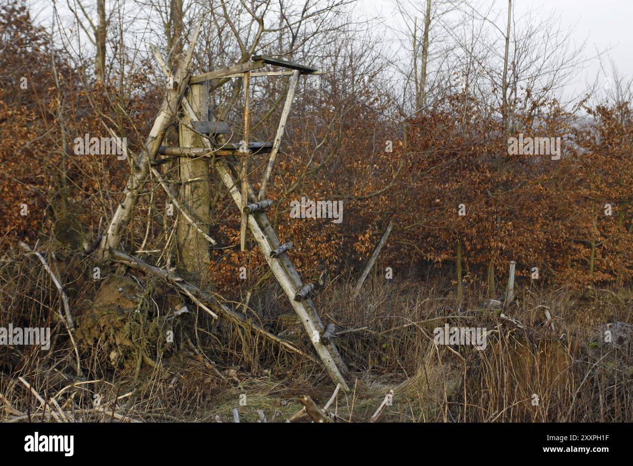 Gut getarnter hoher Sitz Stockfoto