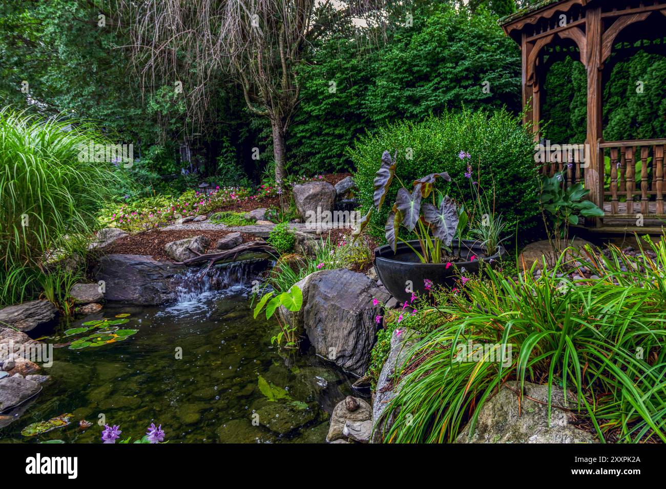 Holzpergola auf Pflastersteinpflastern Landschaftsdesign mit ausgewählten ornamentalen Blumen und immergrünen Hinterhofoase Stockfoto