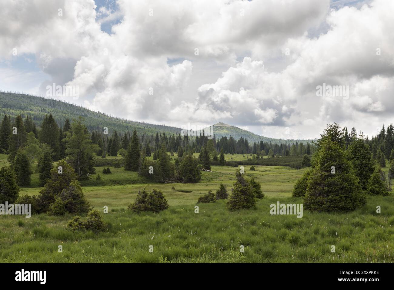 Landschaft im Böhmischen Wald Stockfoto