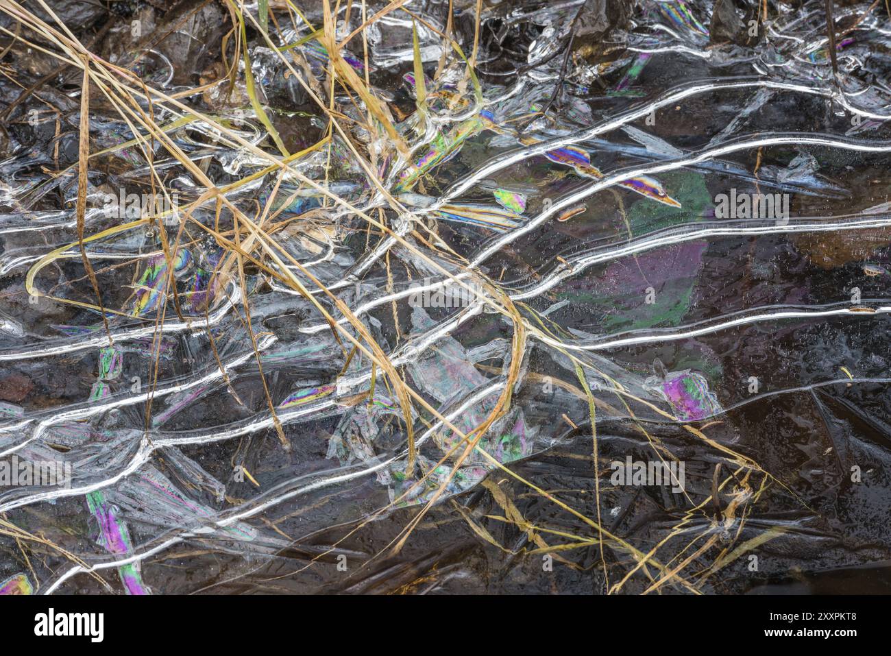 Eisstrukturen in einem Bach, Gaellivare, Norrbotten, Lappland, Schweden, Oktober 2015, Europa Stockfoto